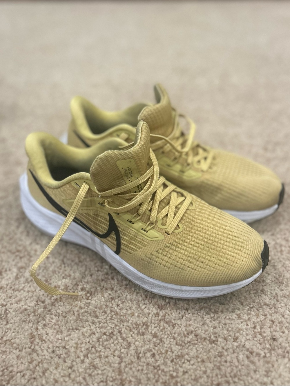 Nike Air Zoom Pegasus 39